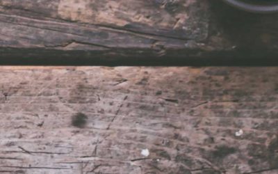 The 7 key points for successfully designing your mobile application